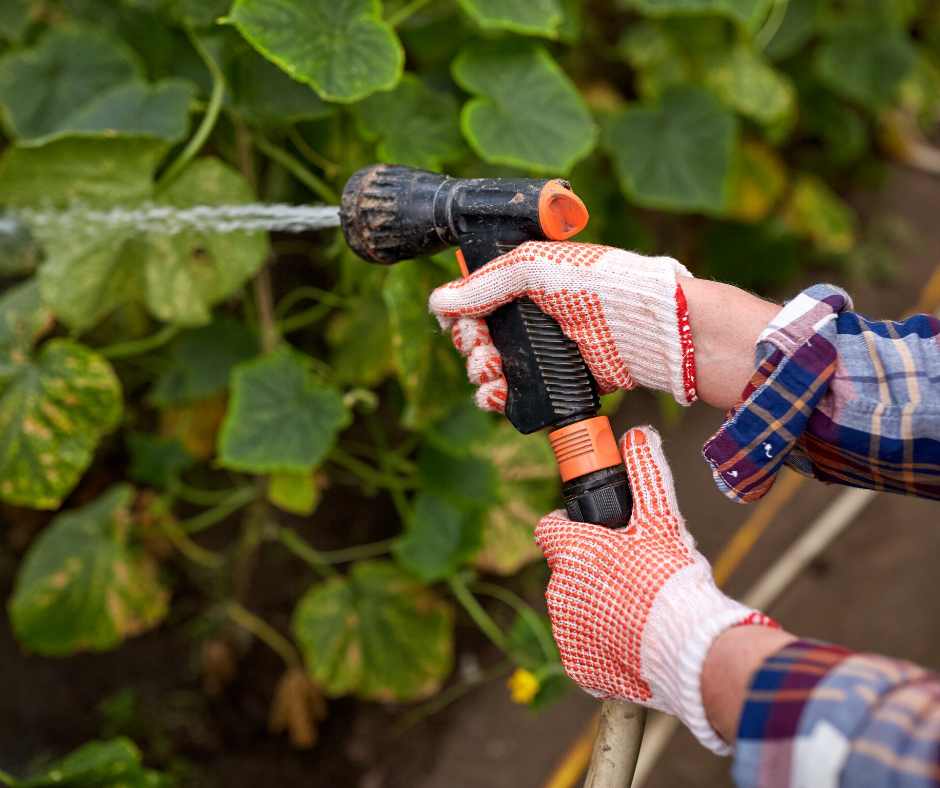 woman garden hose woman garden hose